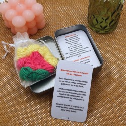 Mon Petit Kit Crochet - Fleurs